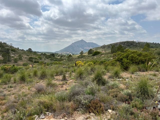 Area Edificabile in vendita in Hondón de las Nieves - 45.000 € (Rif: 10060479)