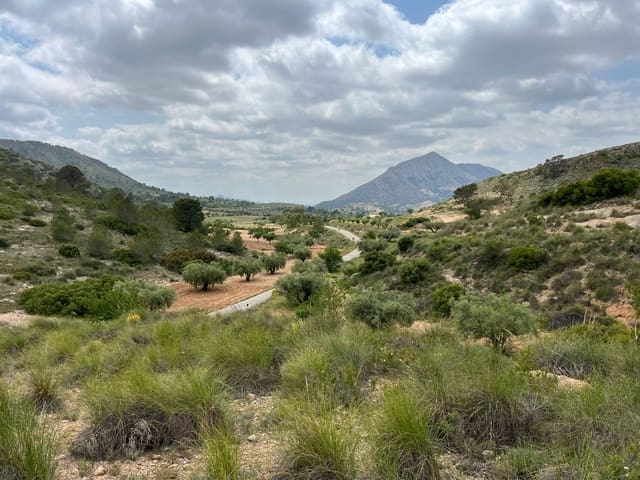 Area Edificabile in vendita in Hondón de las Nieves - 45.000 € (Rif: 10060479)