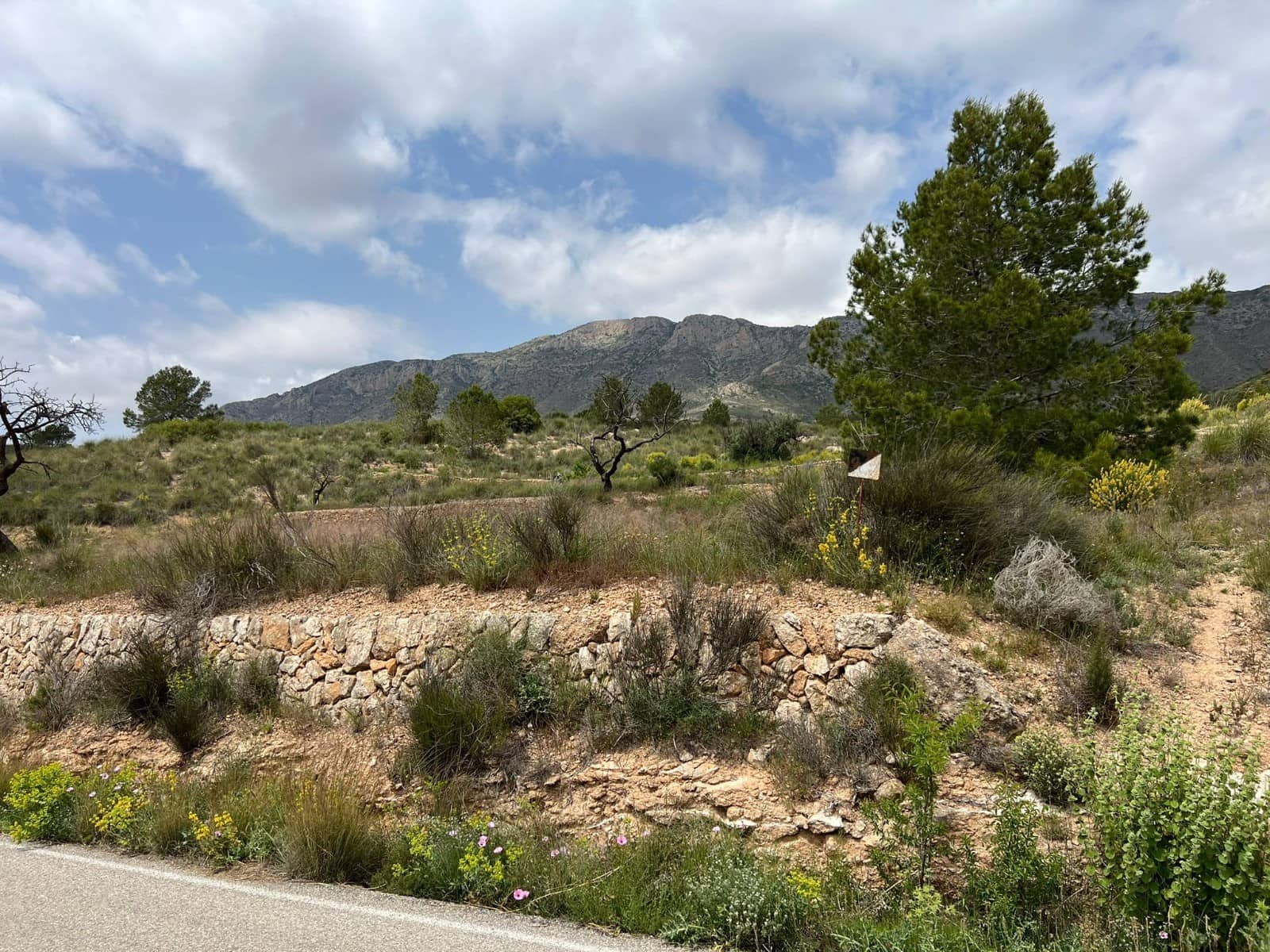 Area Edificabile in vendita in Hondon de las Nieves - 45.000 € (Rif: 10060479)