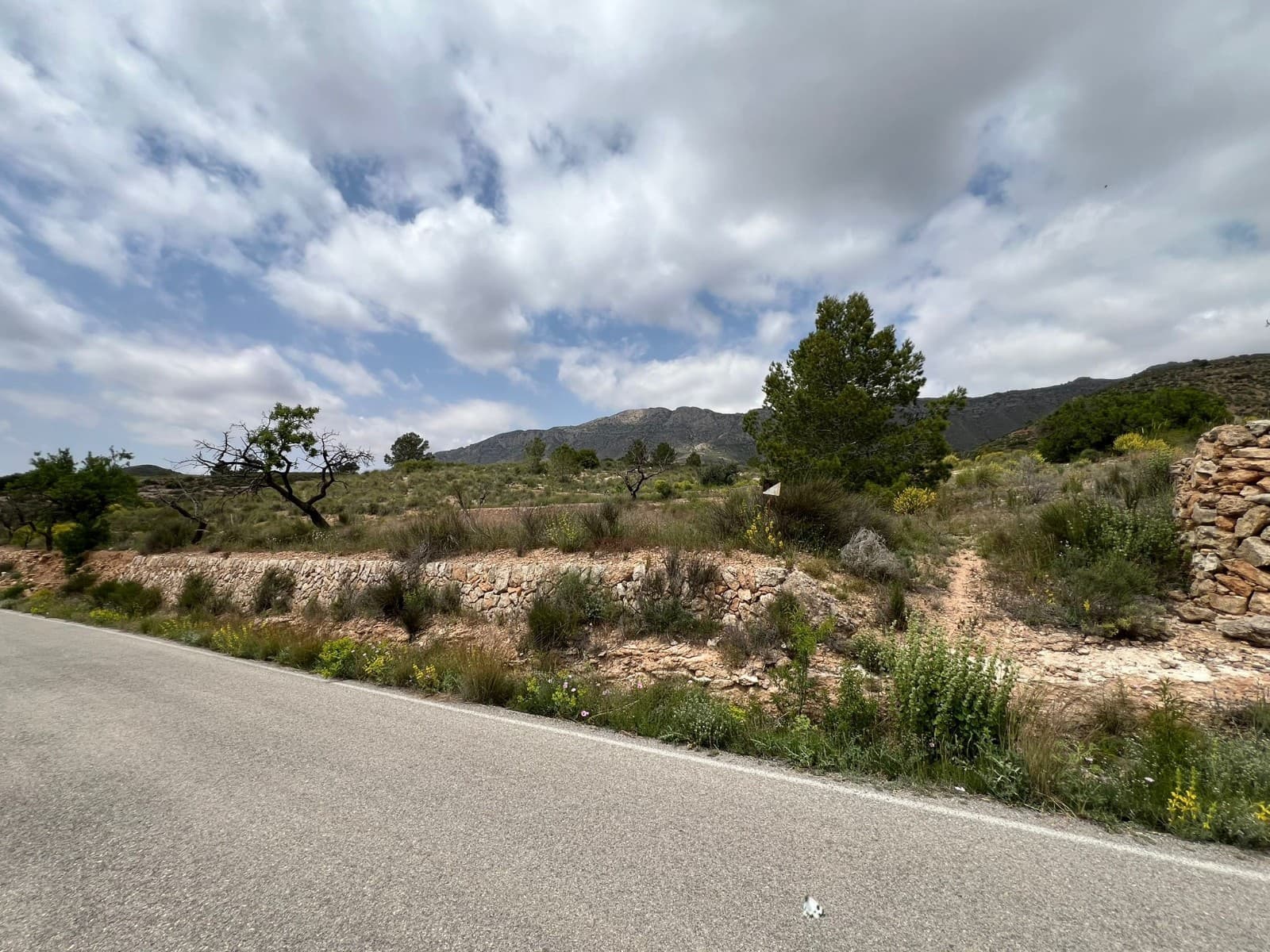 Area Edificabile in vendita in Hondon de las Nieves - 45.000 € (Rif: 10060479)