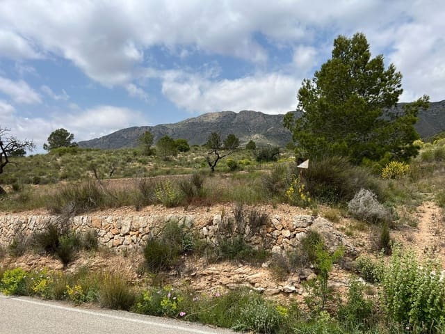 Area Edificabile in vendita in Hondón de las Nieves - 45.000 € (Rif: 10060479)