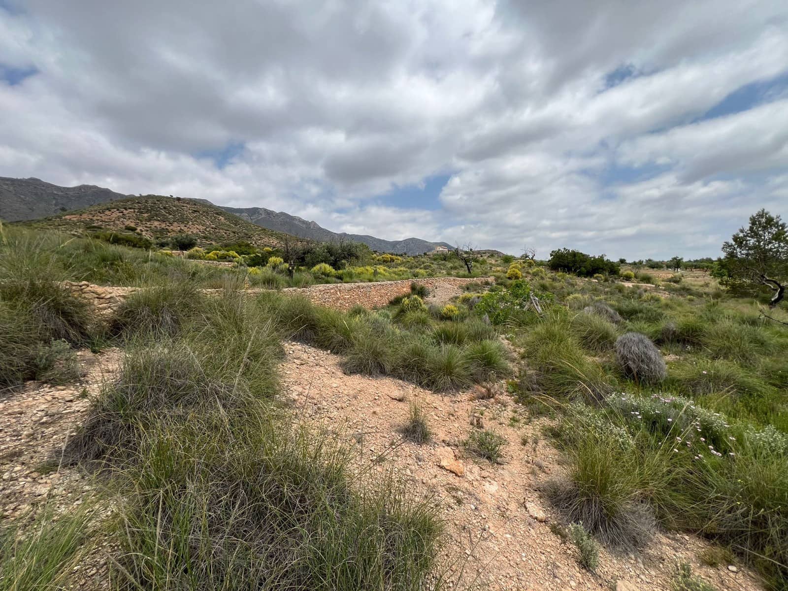 Area Edificabile in vendita in Hondon de las Nieves - 45.000 € (Rif: 10060479)