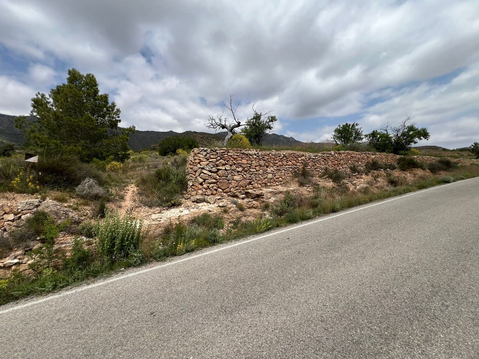 Area Edificabile in vendita in Hondon de las Nieves - 45.000 € (Rif: 10060479)