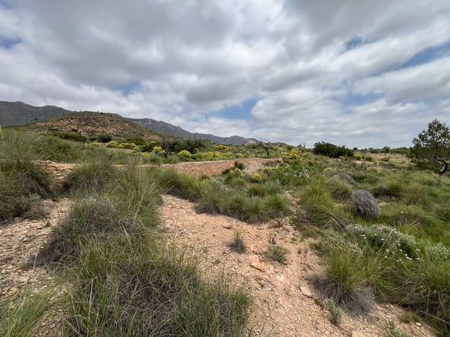 Area Edificabile in vendita in Hondón de las Nieves - 45.000 € (Rif: 10060479)