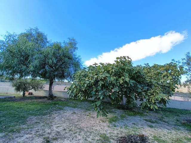 4 bedroom Finca/Country House for sale in Hondón de los Frailes with garage - € 245,000 (Ref: 10060486)