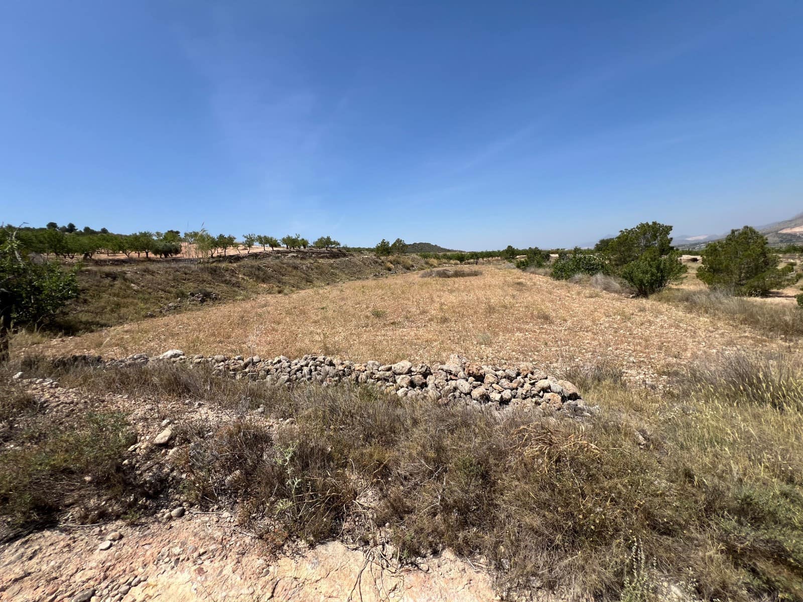 Byggegrund til salg i Hondon de los Frailes - € 50.000 (Ref: 10060494)