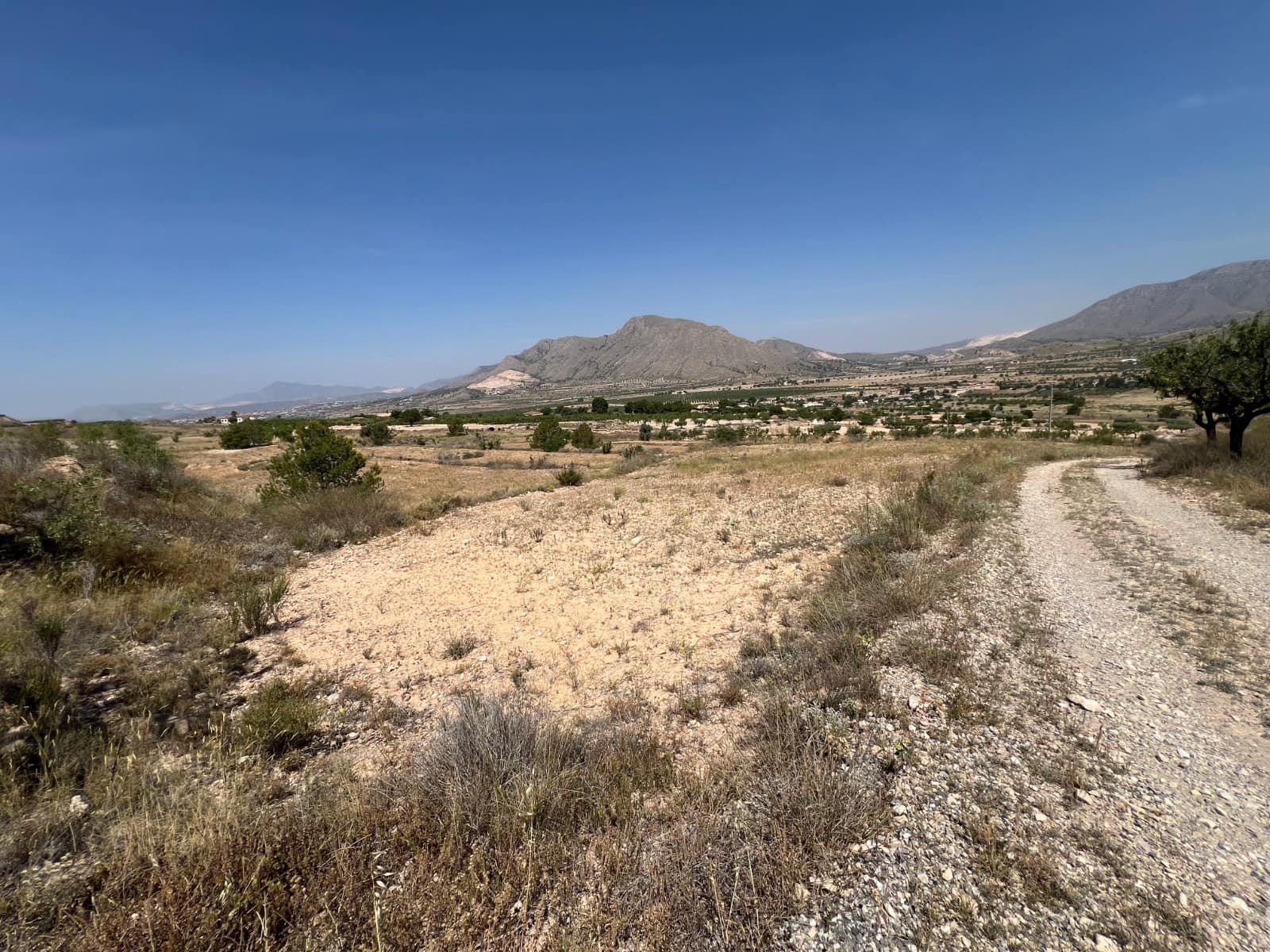 Byggegrund til salg i Hondon de los Frailes - € 50.000 (Ref: 10060494)