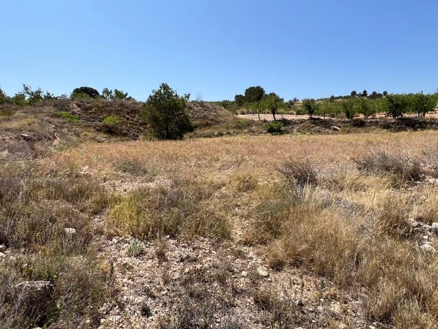 Byggegrund til salg i Hondón de los Frailes - € 50.000 (Ref: 10060494)