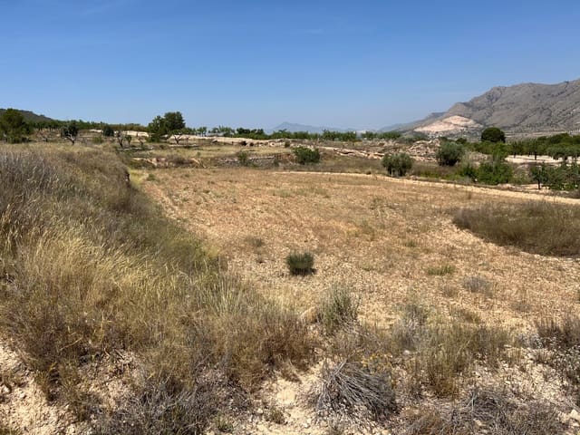 Byggegrund til salg i Hondón de los Frailes - € 50.000 (Ref: 10060494)