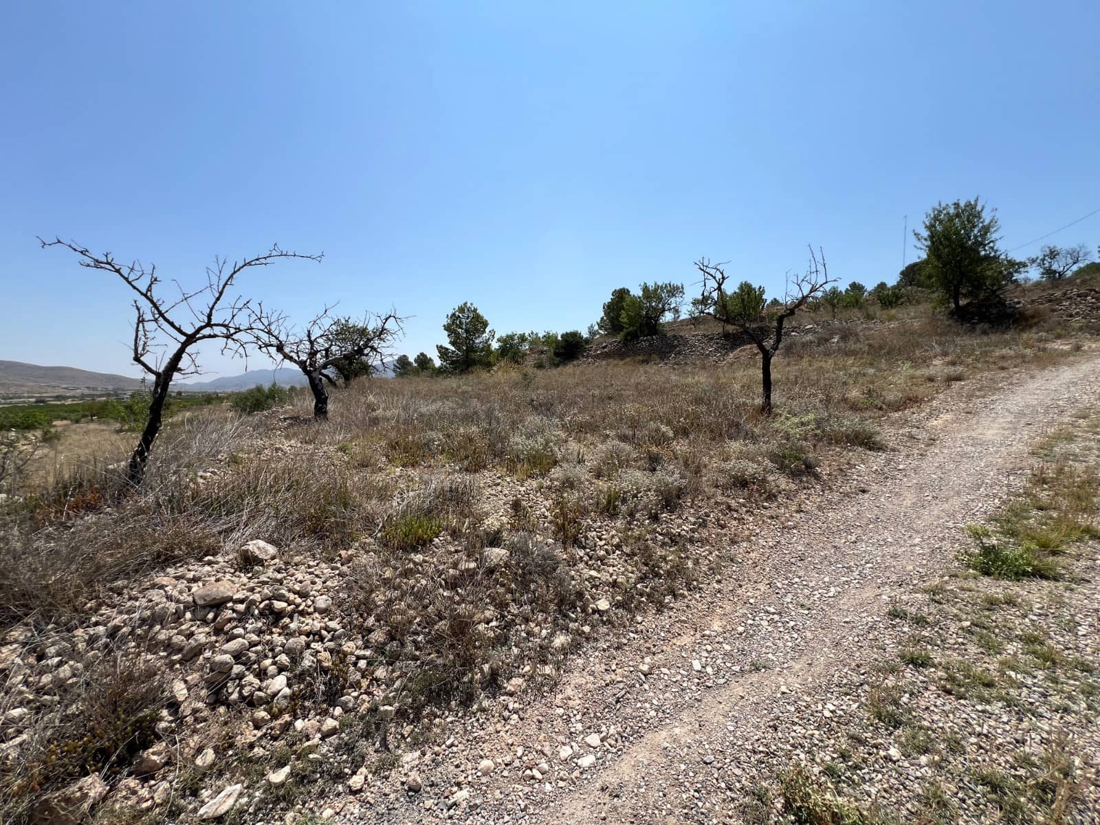 Byggegrund til salg i Hondon de los Frailes - € 50.000 (Ref: 10060494)
