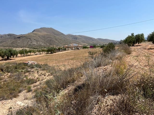 Byggegrund til salg i Hondón de los Frailes - € 50.000 (Ref: 10060494)