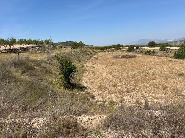 Byggegrund til salg i Hondón de los Frailes - € 50.000 (Ref: 10060494)