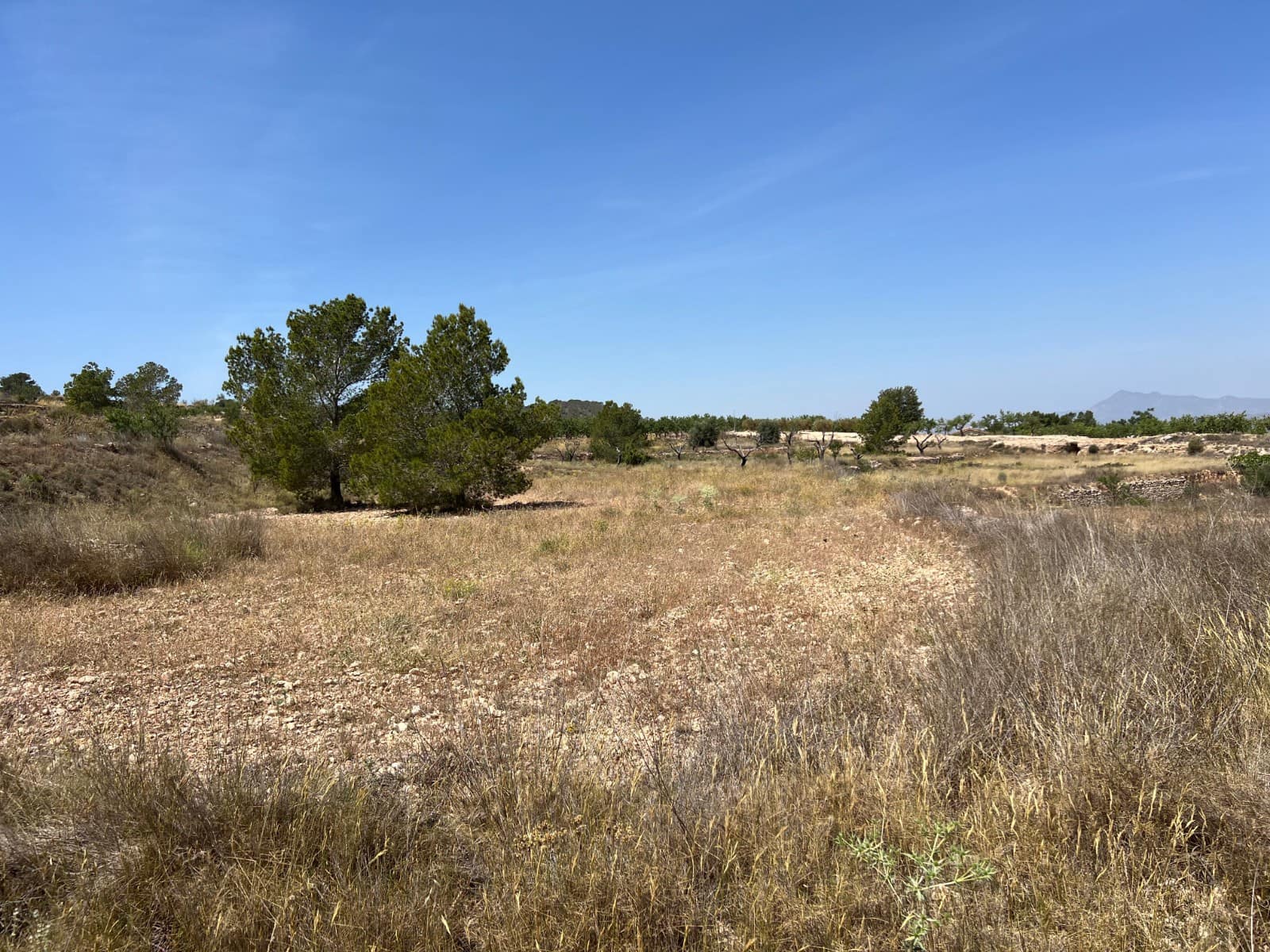 Byggegrund til salg i Hondon de los Frailes - € 50.000 (Ref: 10060494)