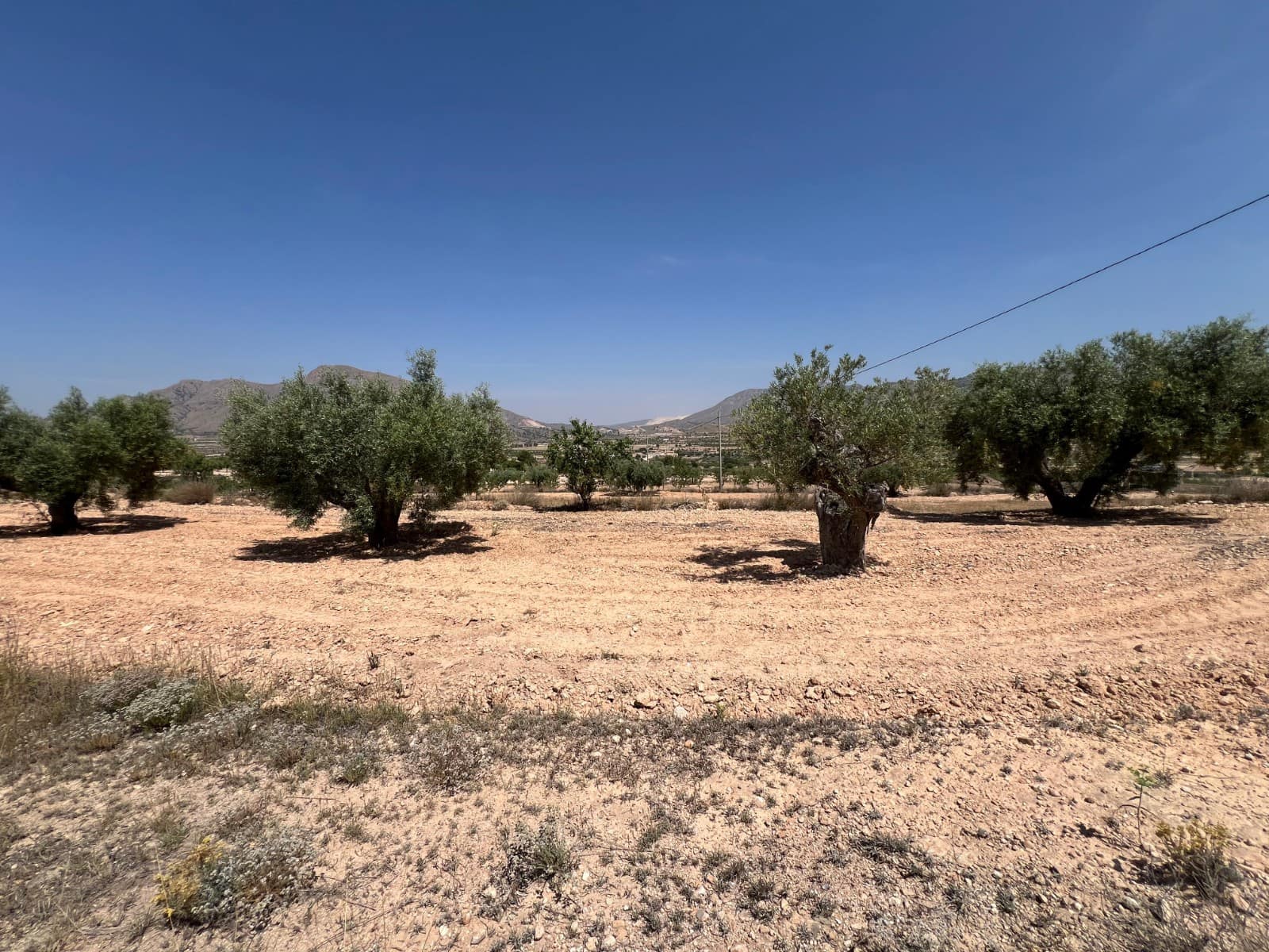 Byggegrund til salg i Hondon de los Frailes - € 50.000 (Ref: 10060494)