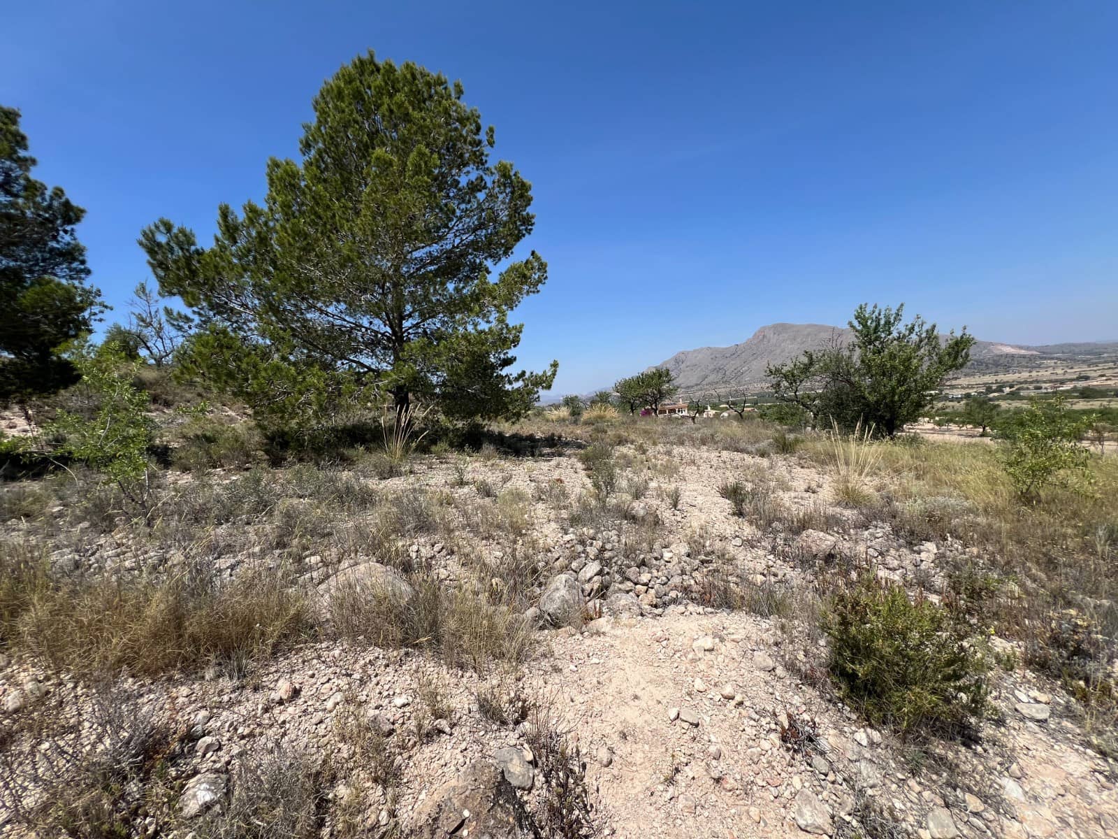 Area Edificabile in vendita in Hondon de los Frailes - 65.000 € (Rif: 10060495)