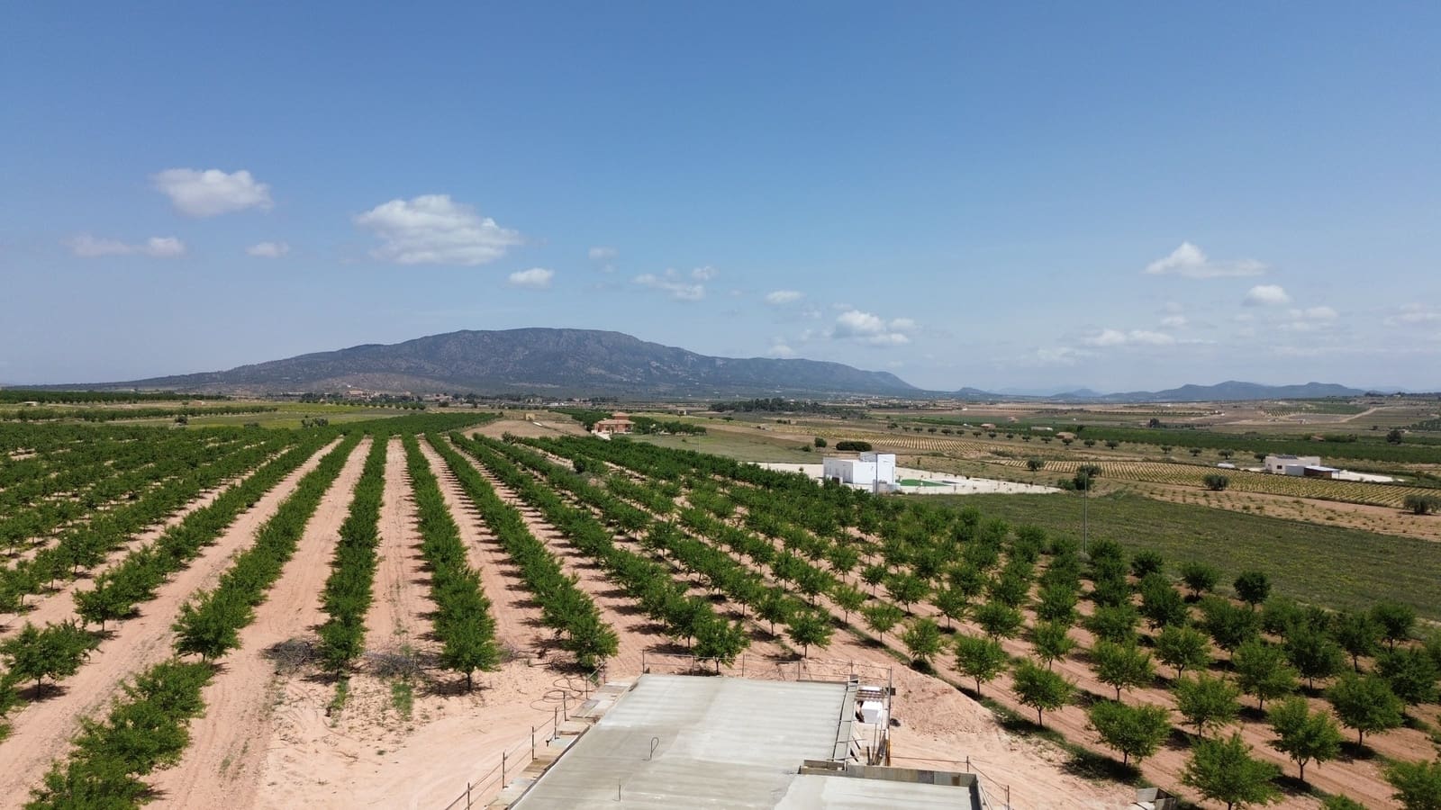 3 bedroom Finca/Country House for sale in Pinoso with pool - € 379,000 (Ref: 10060499)