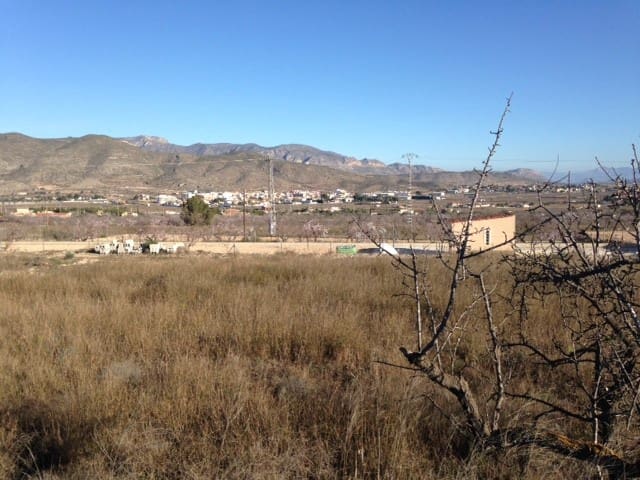 Byggegrund til salg i Hondon de los Frailes - € 25.000 (Ref: 10072660)