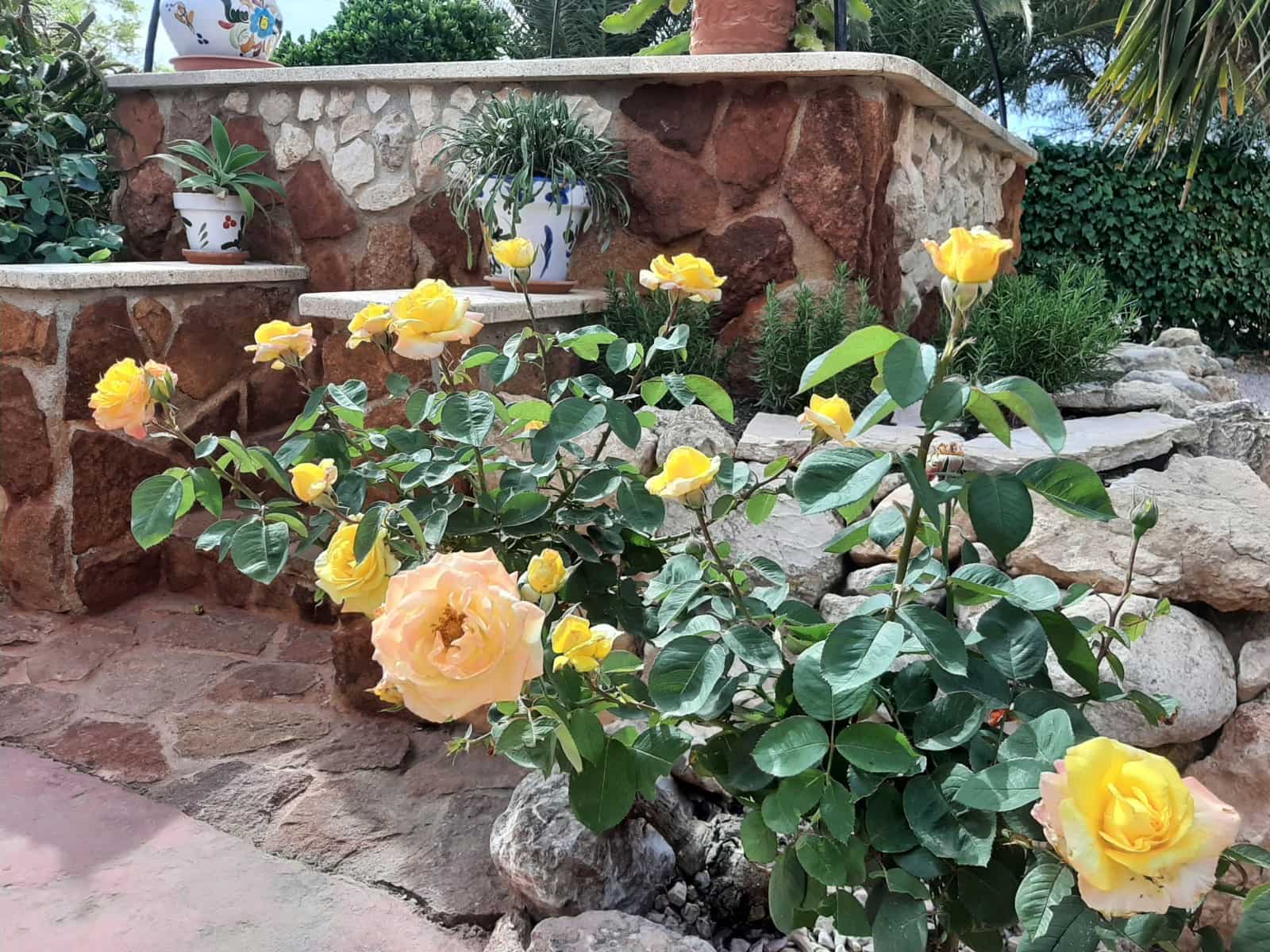 6 quarto Quinta/Casa Rural para venda em Hondon de los Frailes com piscina garagem - 850 000 € (Ref: 10072663)
