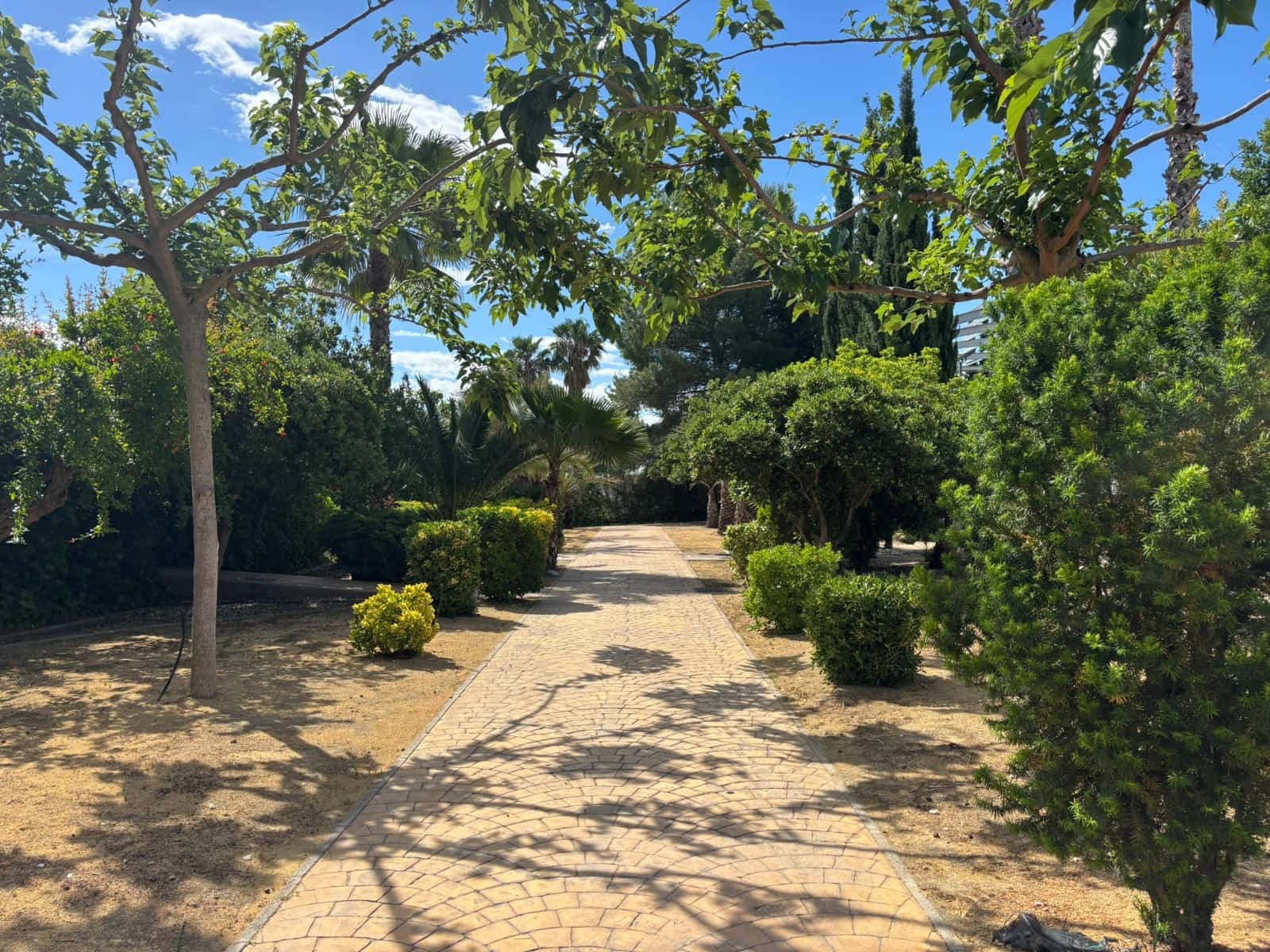 8 slaapkamer Finca/Landhuis te koop in Sax met zwembad - € 575.000 (Ref: 10111813)