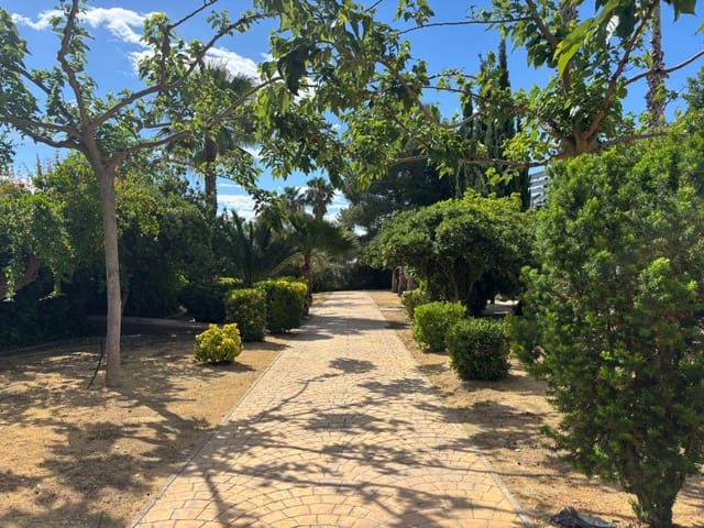 8 slaapkamer Finca/Landhuis te koop in Sax met zwembad - € 575.000 (Ref: 10111813)