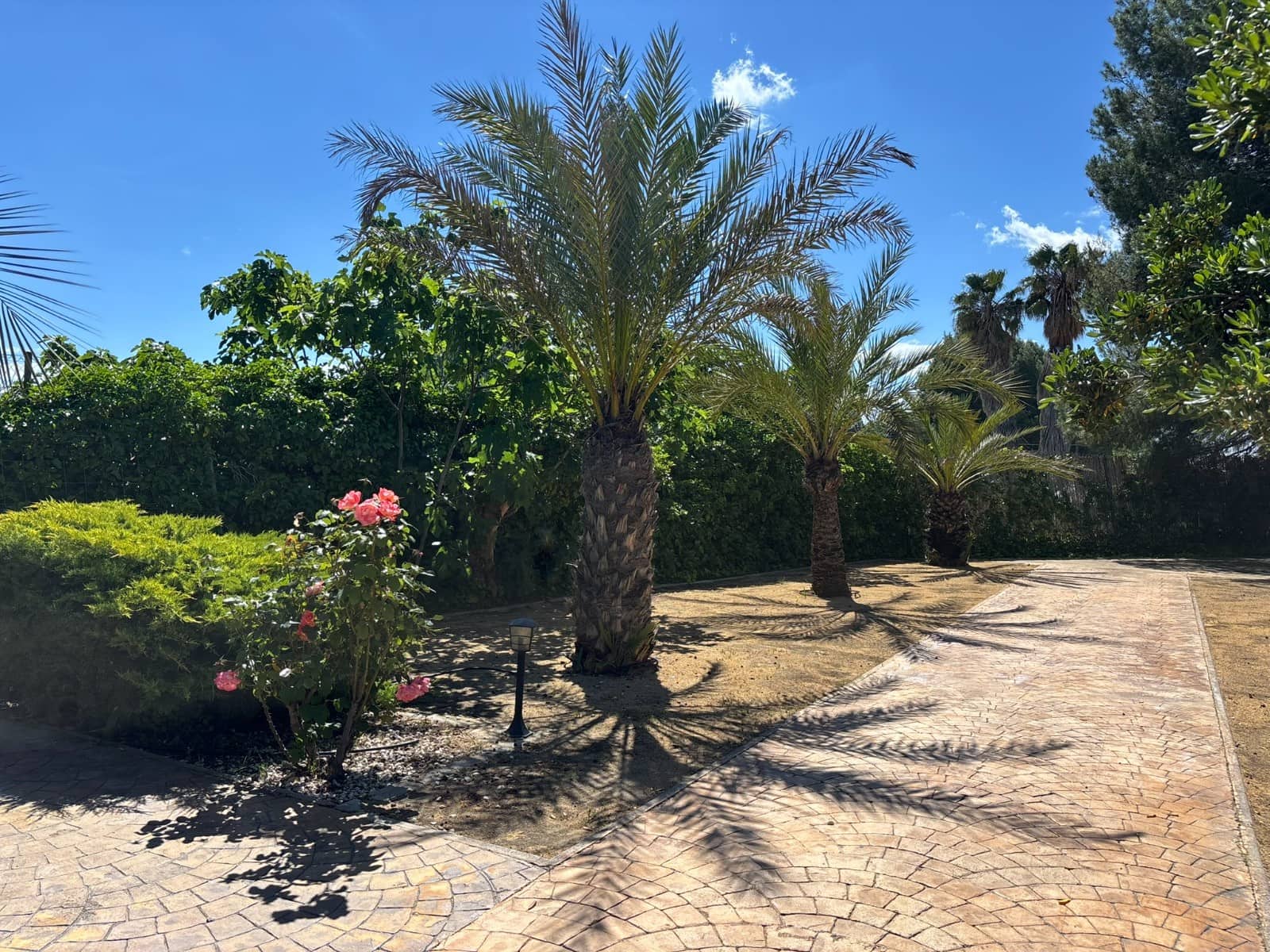8 slaapkamer Finca/Landhuis te koop in Sax met zwembad - € 575.000 (Ref: 10111813)