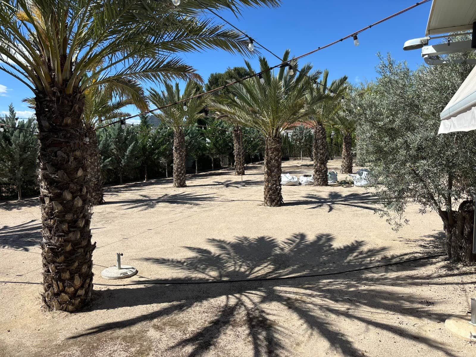 8 slaapkamer Finca/Landhuis te koop in Sax met zwembad - € 575.000 (Ref: 10111813)