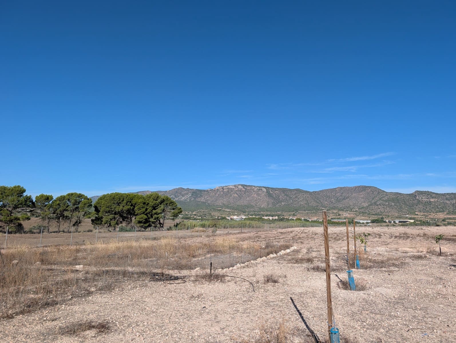 3 bedroom Finca/Country House for sale in Salinas with pool - € 375,000 (Ref: 10111816)