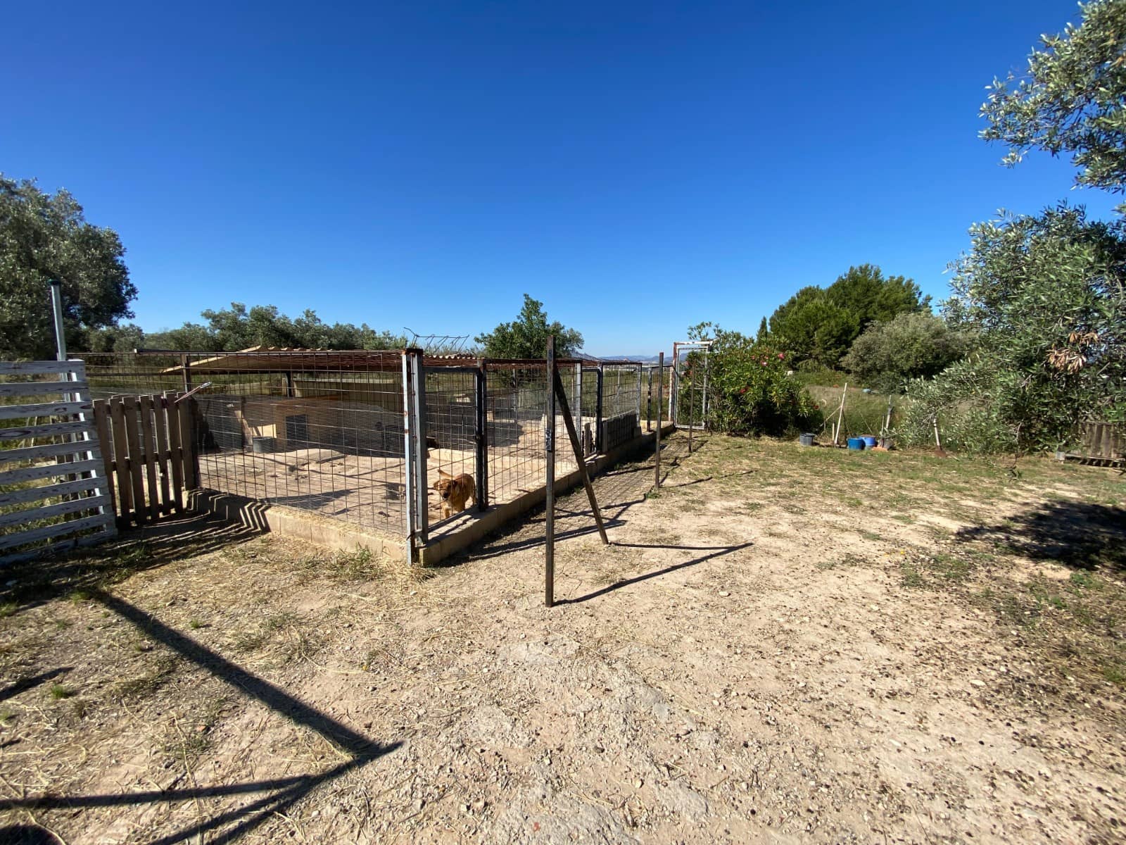 4 soveværelse Finca/Landehus til salg i Sax med swimmingpool garage - € 239.995 (Ref: 10111817)