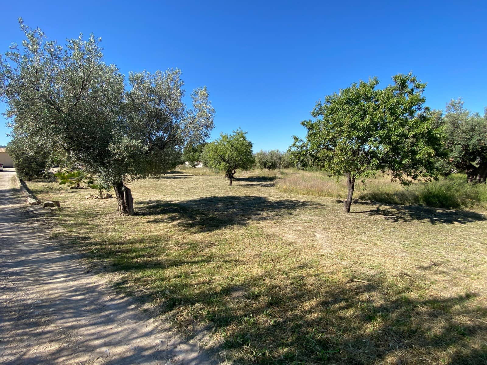 4 soveværelse Finca/Landehus til salg i Sax med swimmingpool garage - € 239.995 (Ref: 10111817)