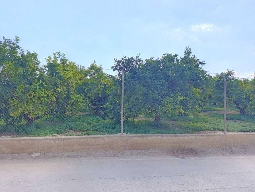 3 soveværelse Lejlighed til salg i Benejuzar - € 109.000 (Ref: 10174728)