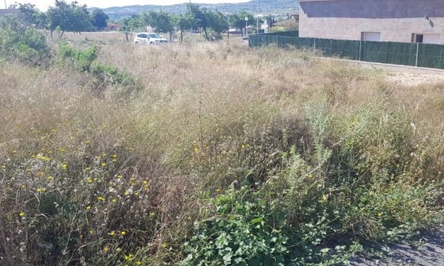 Ubebygd land til salgs i Aspe - € 65 000 (Ref: 5914902)