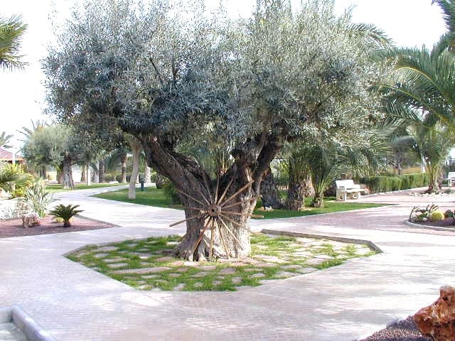 5 soverom Villa til salgs i La Portalada, Elche / Elx med svømmebasseng garasje - € 750 000 (Ref: 6211504)