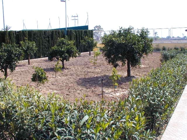 5 sovrum Villa till salu i Elche / Elx med pool garage - 750 000 € (Ref: 6211504)