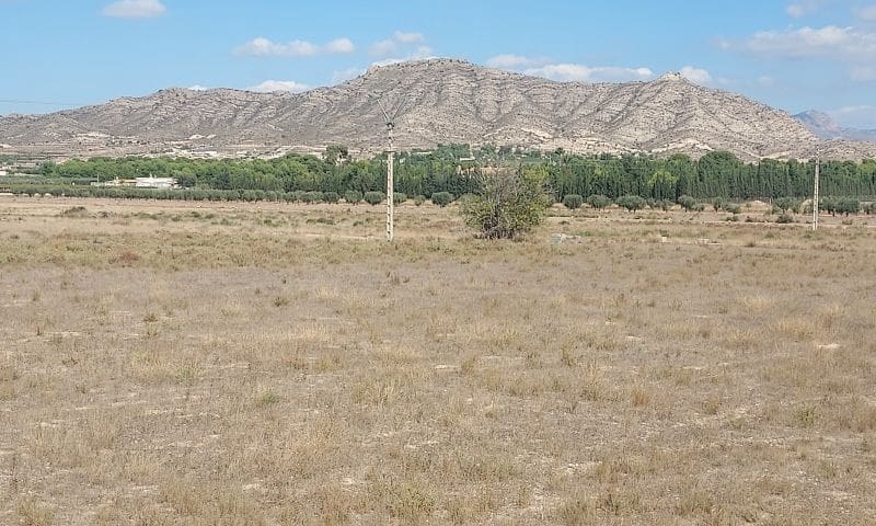 Mark till salu i Hondon de las Nieves - 396 500 € (Ref: 7932638)