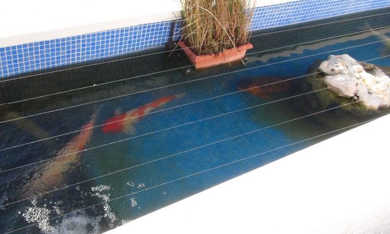 5 bedroom Villa for sale in Hondon de las Nieves with pool - € 1,299,999 (Ref: 8674487)