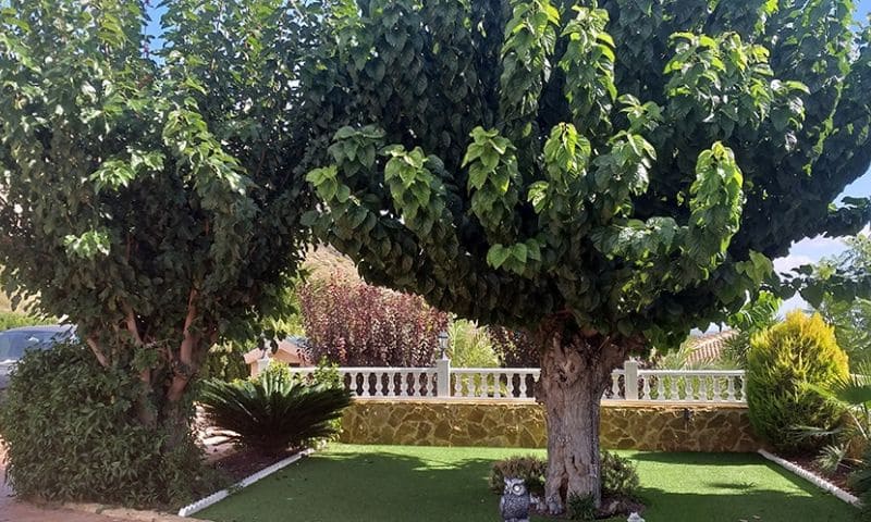 5 bedroom Villa for sale in Hondon de las Nieves with pool - € 1,299,999 (Ref: 8674487)