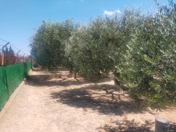 3 quarto Moradia para venda em Elche / Elx - 330 000 € (Ref: 8705289)