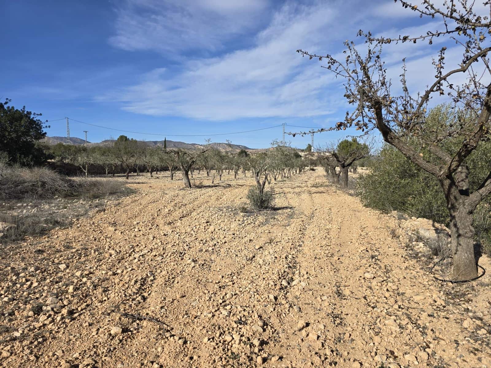 Byggegrund til salg i Hondon de las Nieves - € 36.000 (Ref: 8750852)