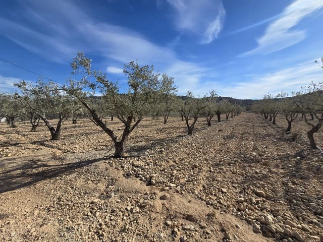 Building Plot for sale in Hondón de las Nieves - € 36,000 (Ref: 8750852)