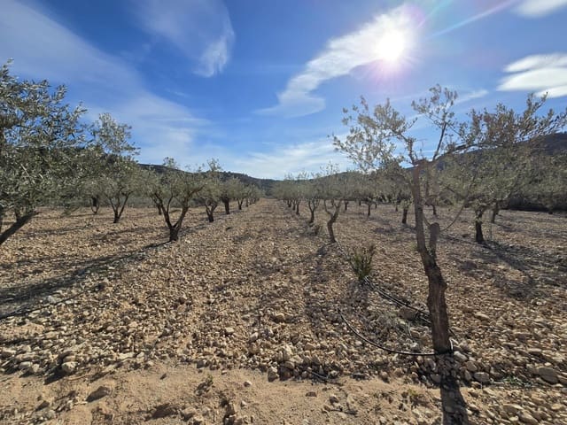 Building Plot for sale in Hondón de las Nieves - € 36,000 (Ref: 8750852)