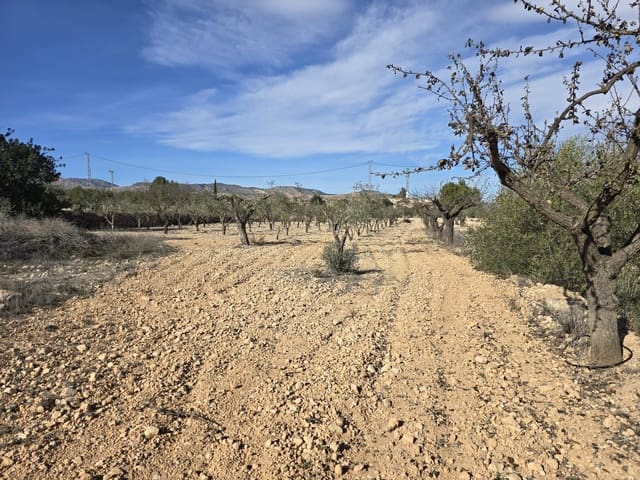 Tomt till salu i Hondón de las Nieves - 36 000 € (Ref: 8750852)