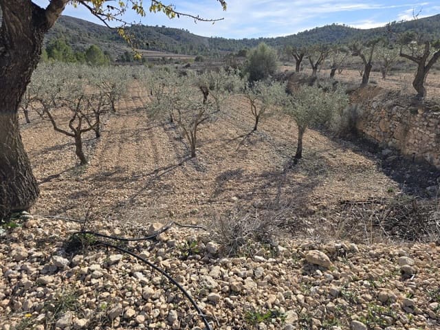 Tomt till salu i Hondón de las Nieves - 36 000 € (Ref: 8750852)