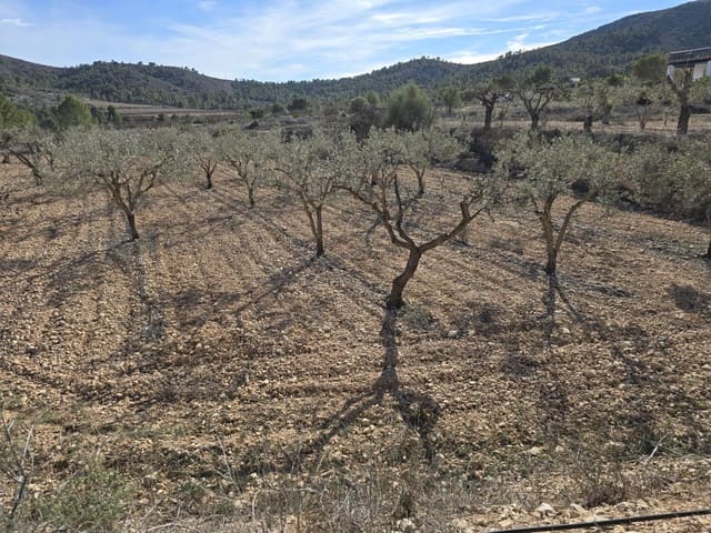 Tomt till salu i Hondón de las Nieves - 36 000 € (Ref: 8750852)