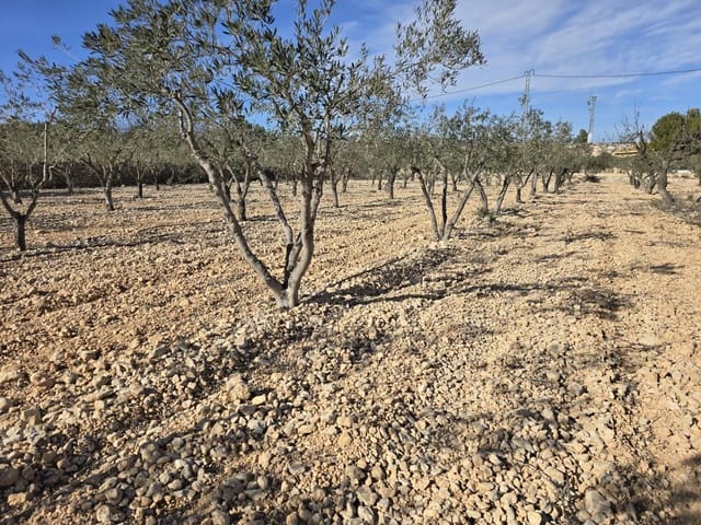 Tomt till salu i Hondón de las Nieves - 36 000 € (Ref: 8750852)