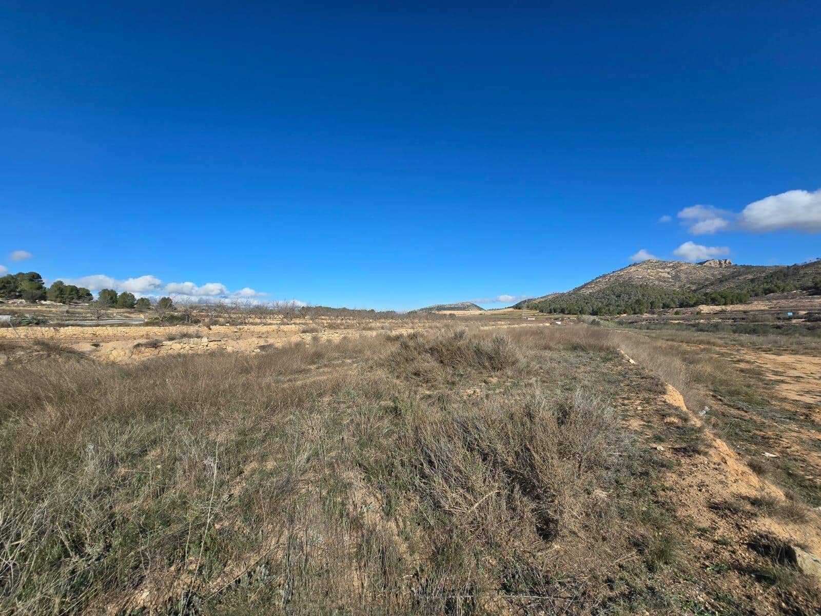 Bouwgrond te koop in Monovar / Monover - € 31.000 (Ref: 8750864)