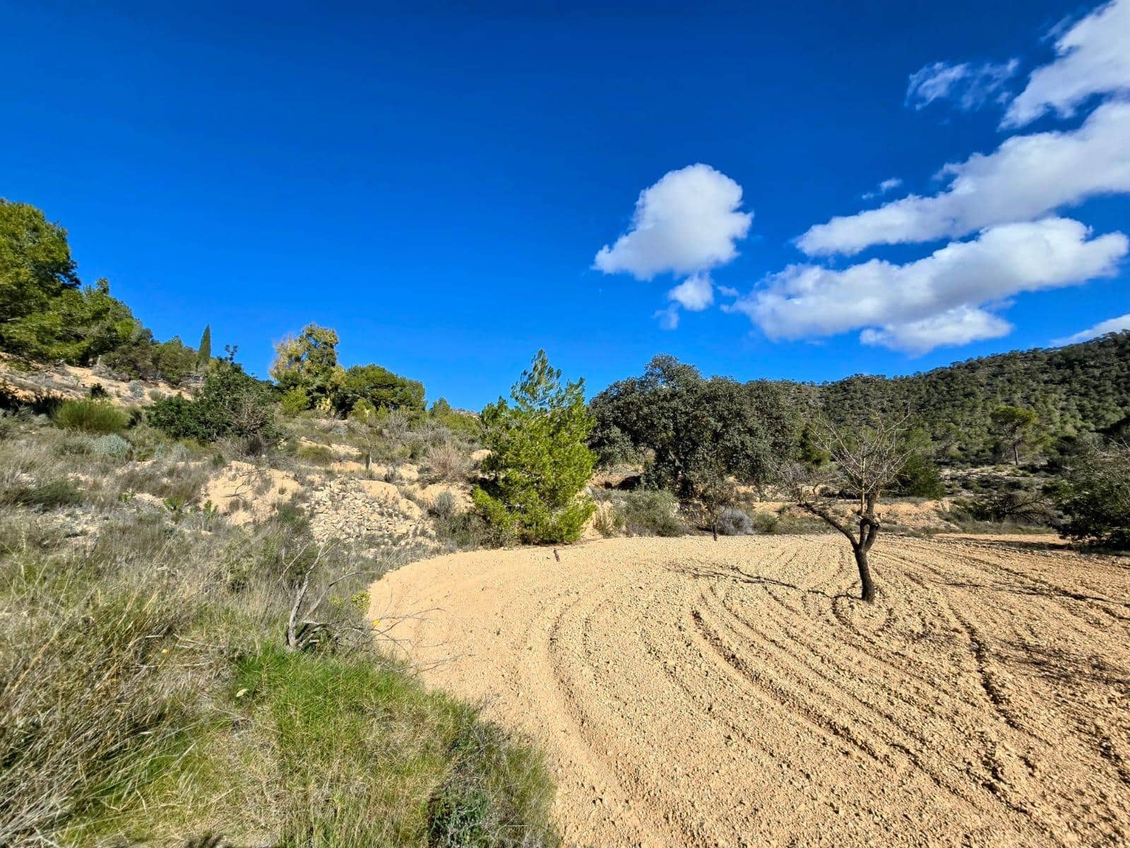 Tomt till salu i Monovar / Monover - 41 000 € (Ref: 8750865)