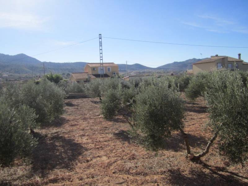 4 soveværelse Finca/Landehus til salg i Hondon de los Frailes - € 180.000 (Ref: 8779982)
