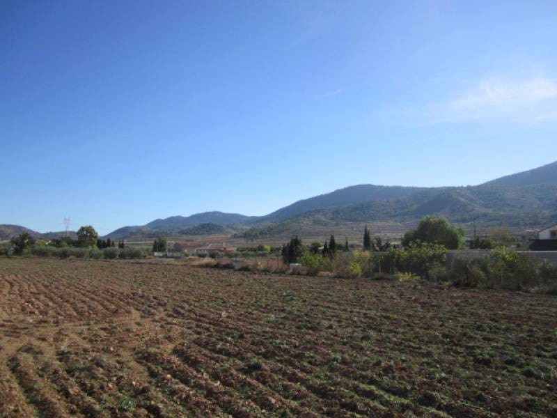 4 soveværelse Finca/Landehus til salg i Hondon de los Frailes - € 180.000 (Ref: 8779982)