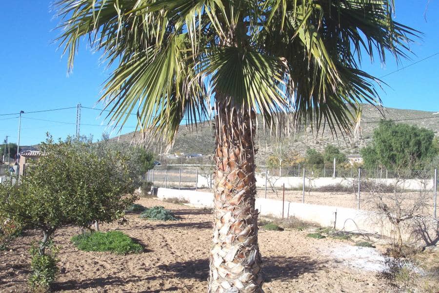 4 soveværelse Finca/Landehus til salg i Hondon de los Frailes - € 180.000 (Ref: 8779982)