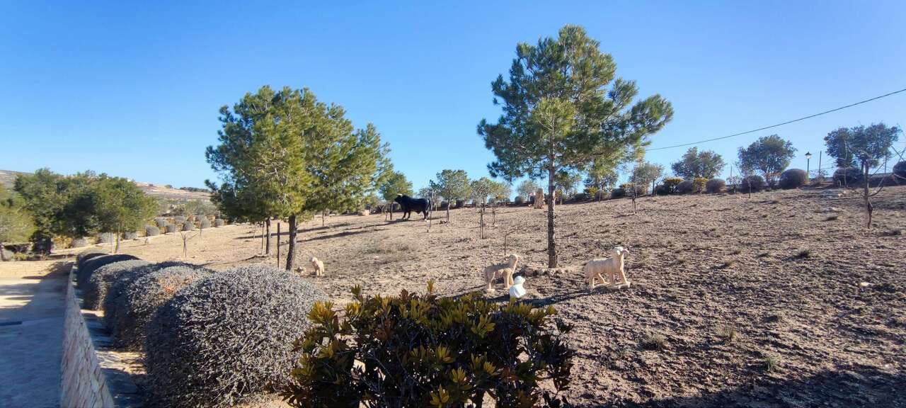 3 soverom Finca/Herregård til salgs i Pinoso med svømmebasseng - € 399 995 (Ref: 8860376)